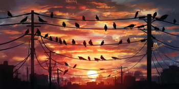 A Ciência por Trás dos Pássaros e Fios Elétricos