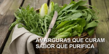 Como o amargo ensina o corpo a se equilibrar